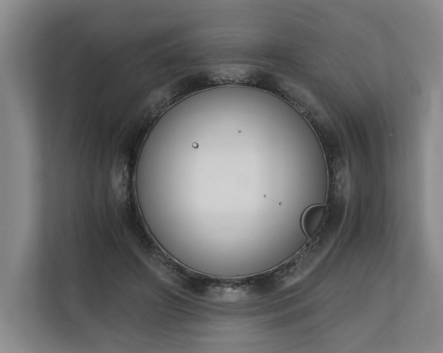 X0000110690498200906191510