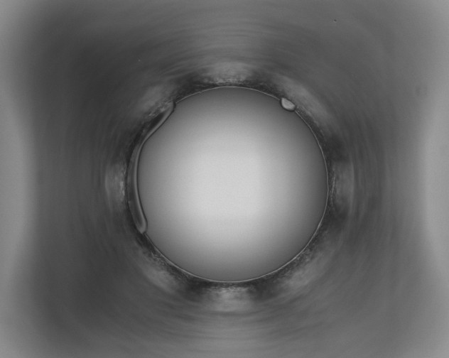 X0000110690501200906191510