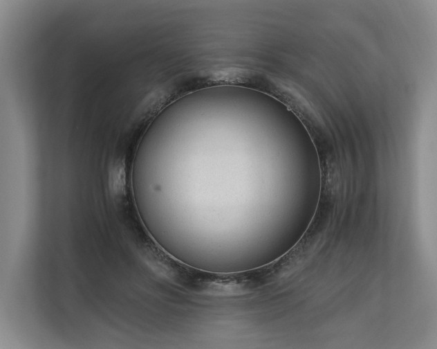 X0000110690502200906191510