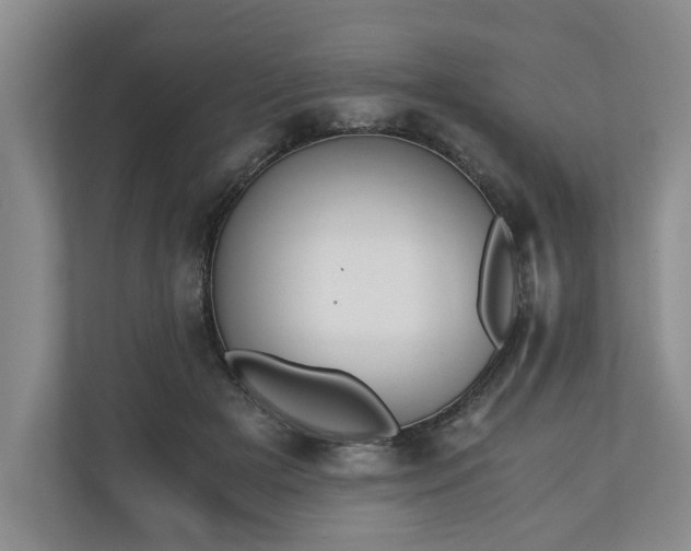 X0000110690505200906191510