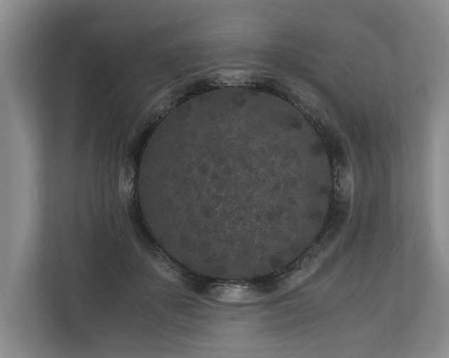 X0000110690507200906191510