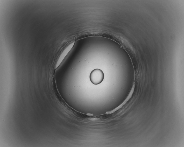 X0000110690509200906191510