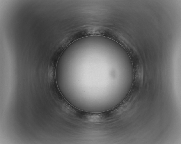 X0000110690513200906191510