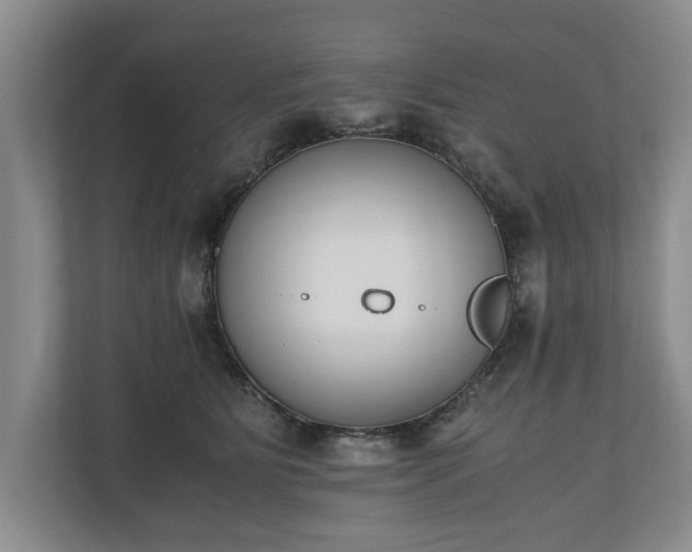 X0000110690515200906191510