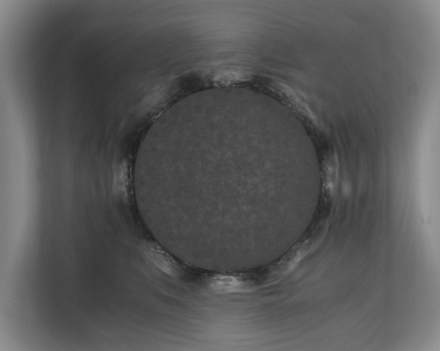 X0000110690519200906191510