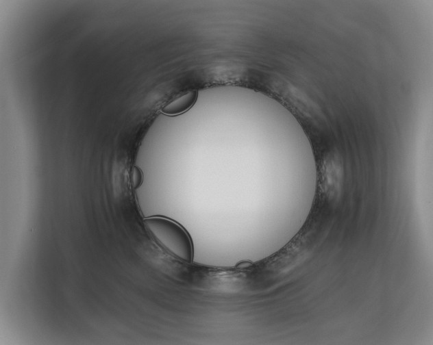 X0000110690522200906191510