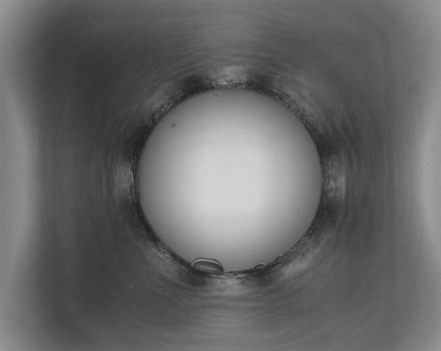 X0000110690523200906191510