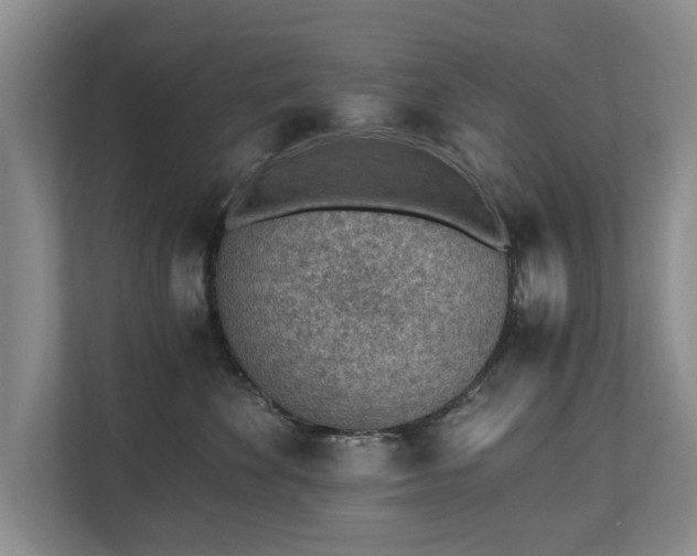 X0000110690524200906191510