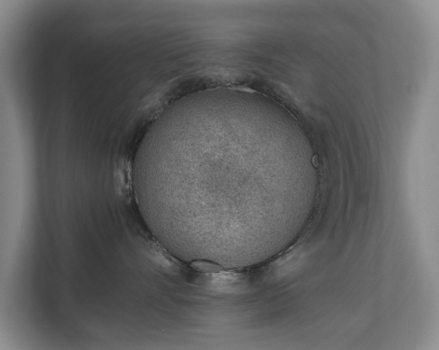 X0000110690528200906191510