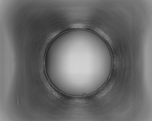 X0000110690529200906191509