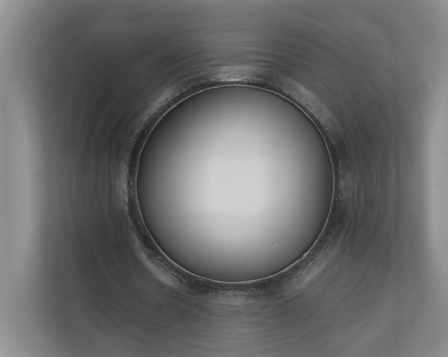 X0000110690530200906191509