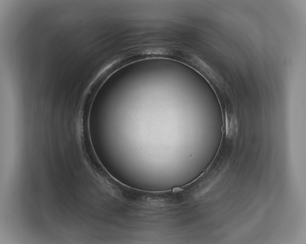 X0000110690531200906191509