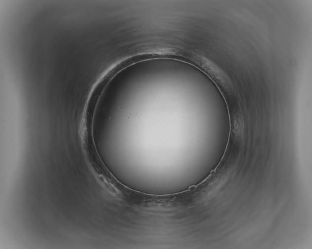 X0000110690532200906191509