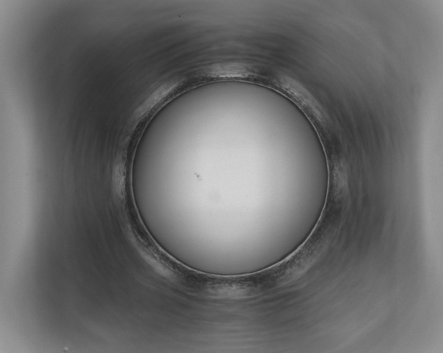 X0000110690533200906191509