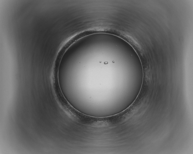 X0000110690536200906191509