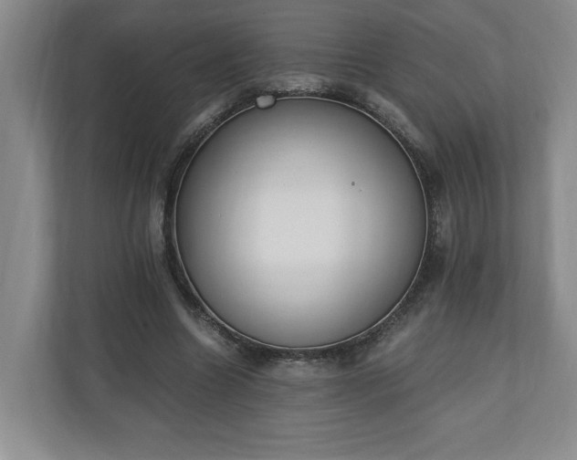 X0000110690538200906191509