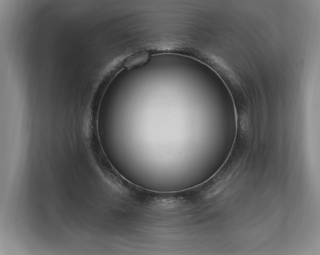 X0000110690540200906191509