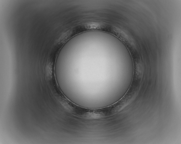 X0000110690545200906191509