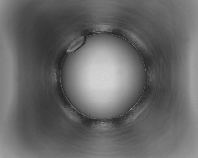 X0000110690546200906191509