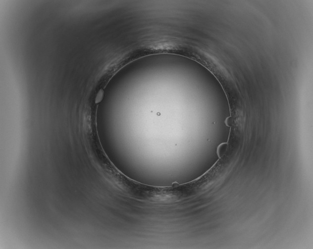 X0000110690547200906191509