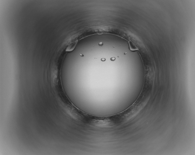 X0000110690548200906191509