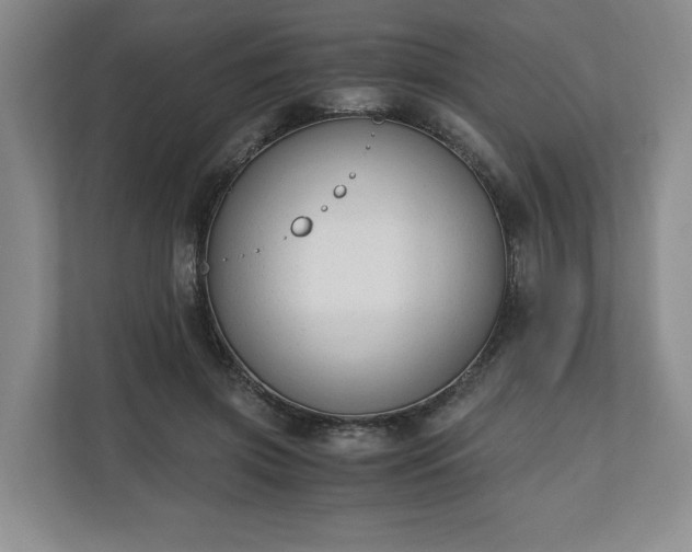 X0000110690549200906191509