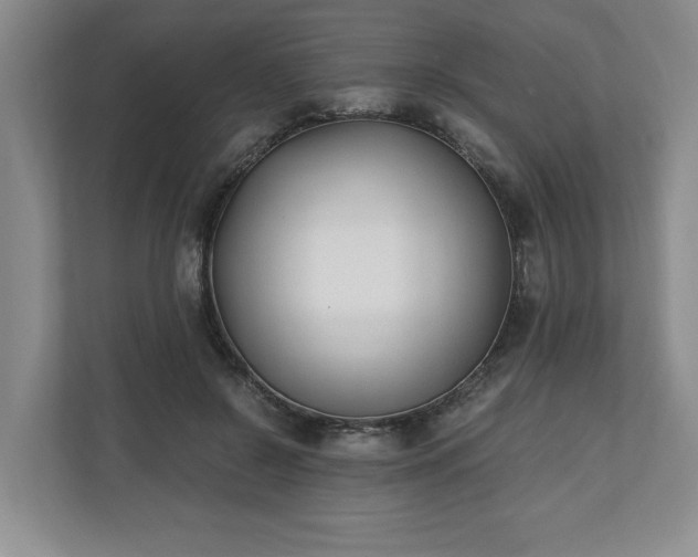 X0000110690550200906191509