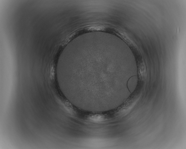 X0000110690551200906191509