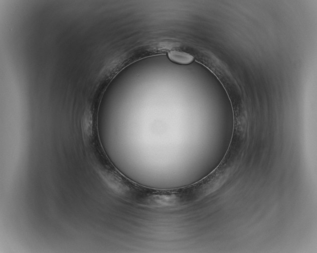 X0000110690552200906191509