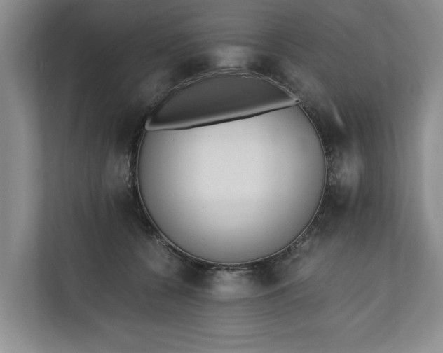 X0000110690560200906191509