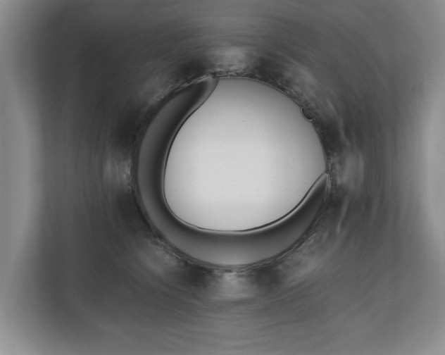 X0000110690564200906191509