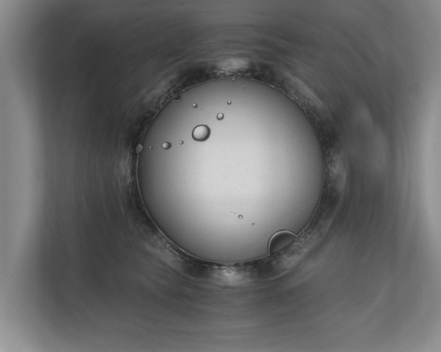 X0000110690565200906191509