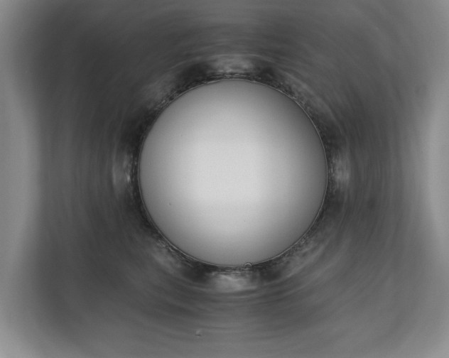 X0000110690567200906191510