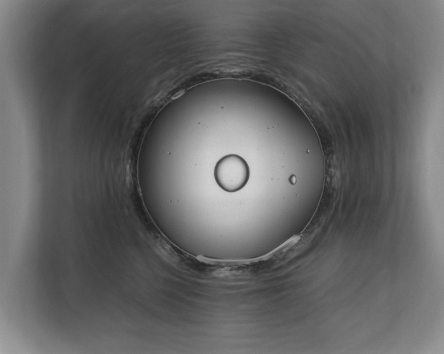 X0000110690568200906191510