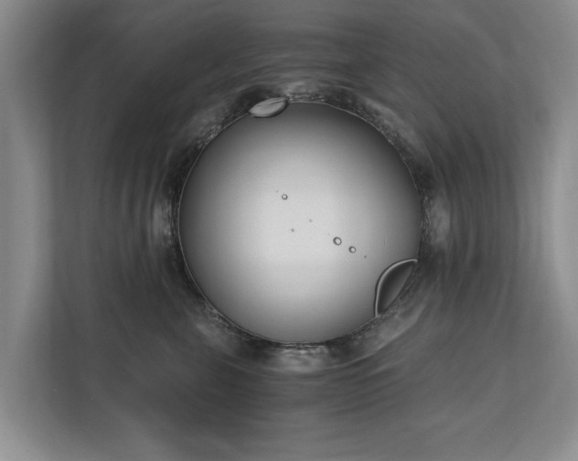 X0000110690571200906191510