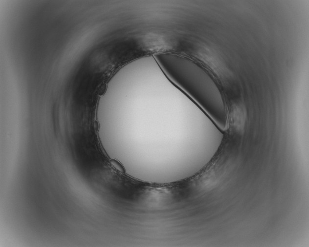 X0000110690572200906191510