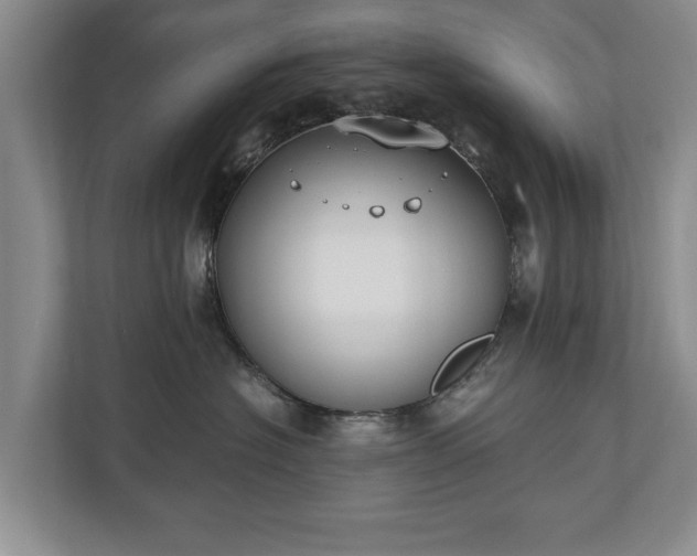 X0000110690574200906191510