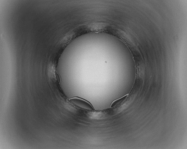 X0000110690575200906191510