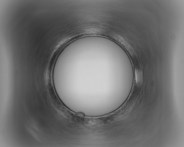 X0000110690579200906191509