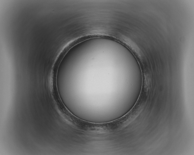 X0000110690580200906191509