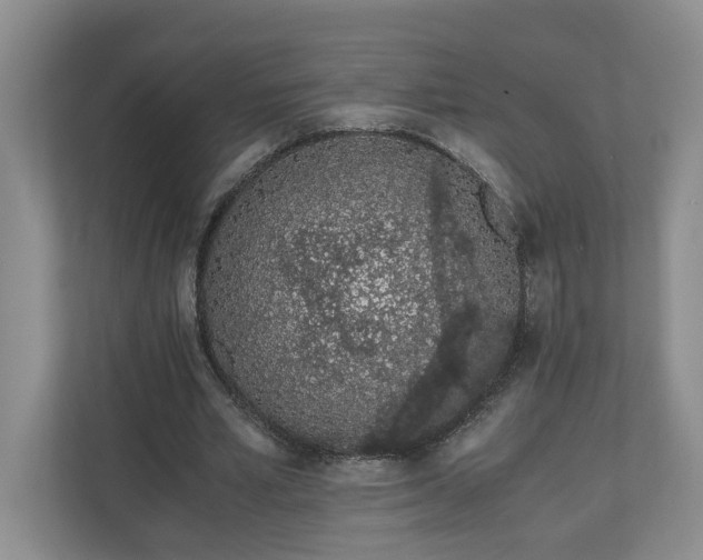 X0000110690581200906191509