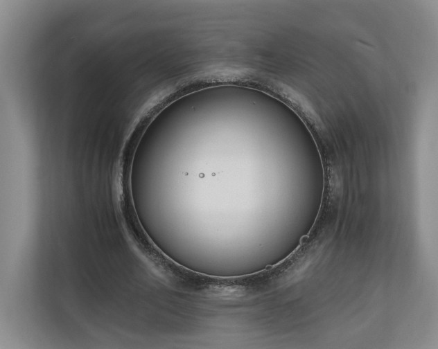 X0000110690582200906191509