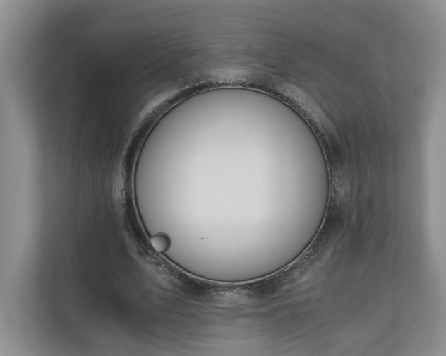 X0000110690583200906191509