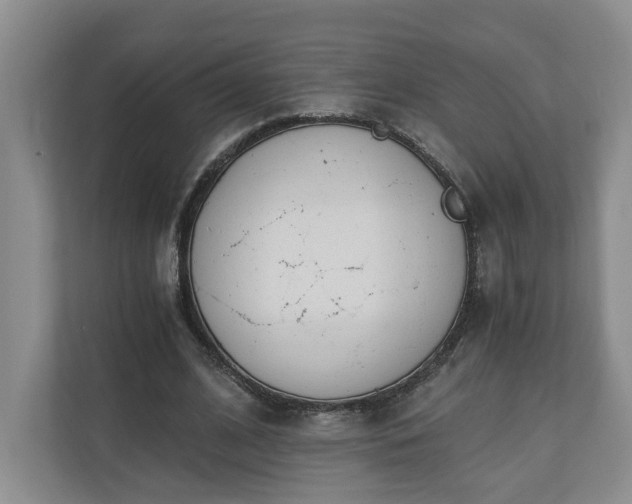 X0000110690584200906191509