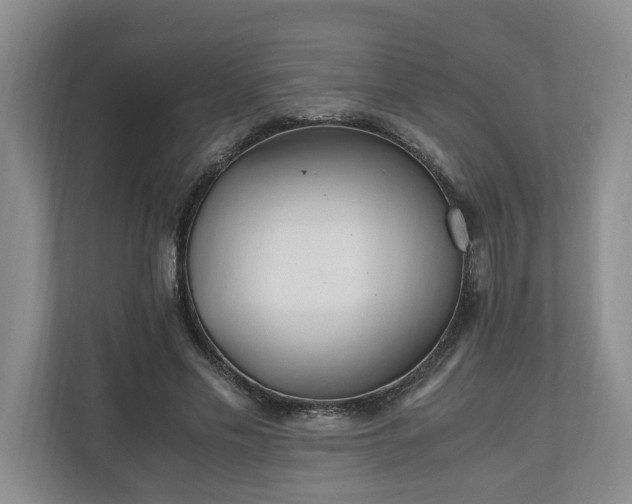 X0000110690589200906191509