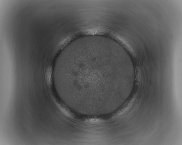 X0000110690590200906191509