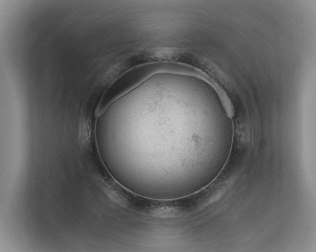 X0000110690593200906191509