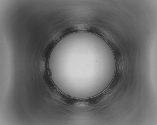 X0000110690595200906191509