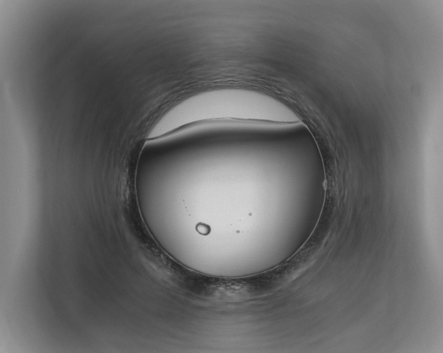 X0000110690599200906191509