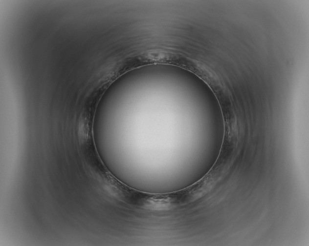 X0000110690606200906191509